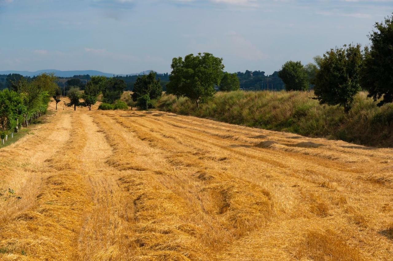 Locazione Turistica Casa Vento Della Toscana Foiano Della Chiana Exterior foto